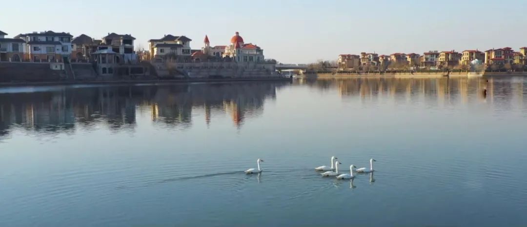 【LIAN上迁安】全国第八届“万步有约”健走激励大赛迁安赛区正式启动