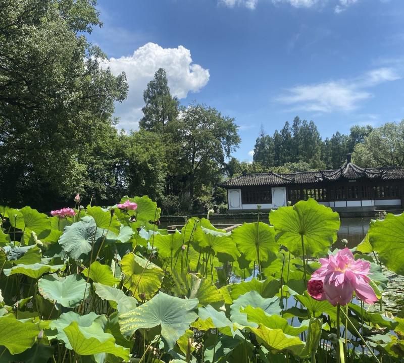 西湖郭庄小众景点,杭州郭庄风光美景