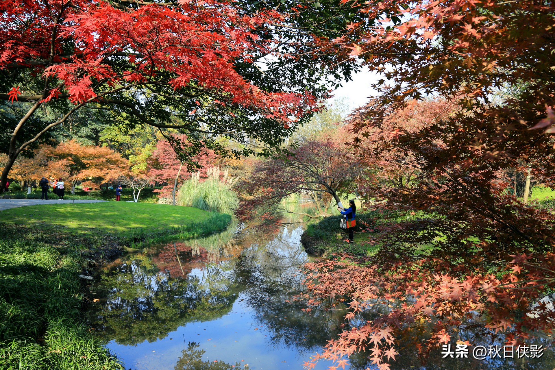 杭州秋天看枫叶最佳地点,杭州进入最佳赏枫季