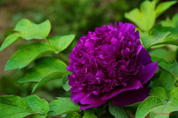 千年帝都长安古韵,千年帝都洛阳王城