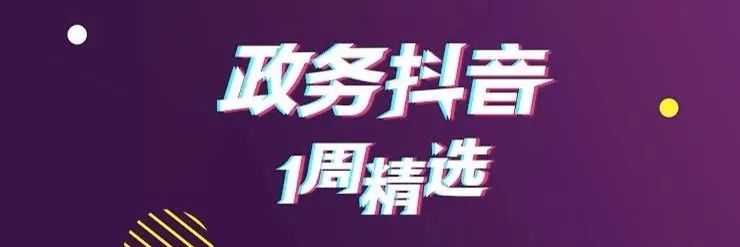 两个月大的军犬巡逻,两个月大的狗狗训犬