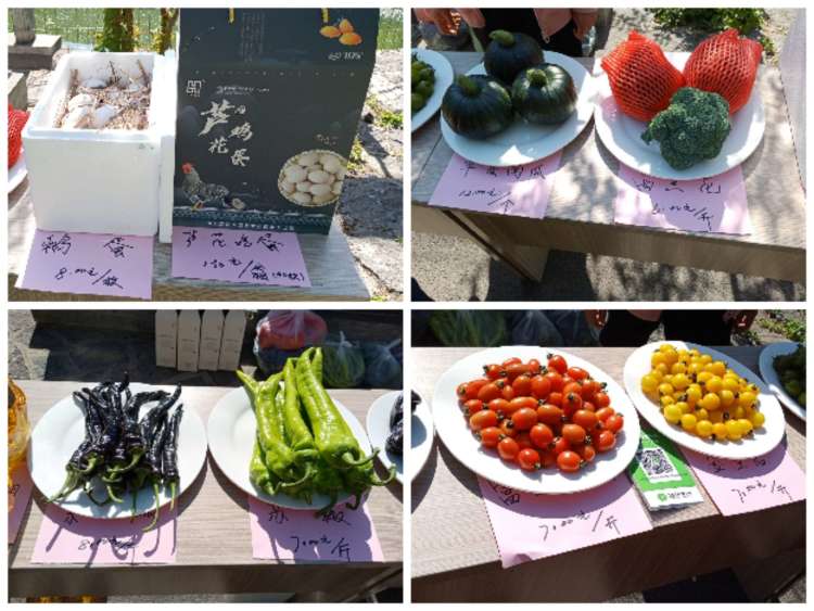 济南3-4月份赏花适合去哪里旅游,五一济南哪里好玩