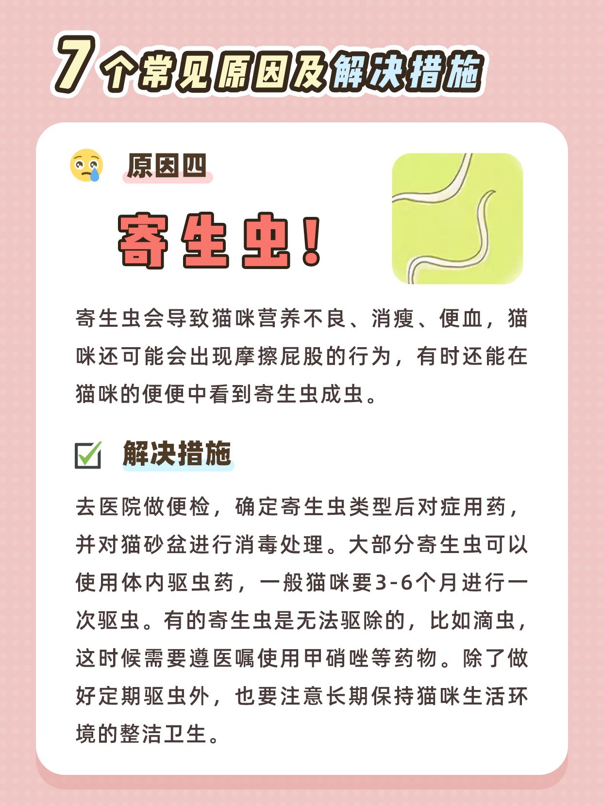 幼猫拉稀的解决办法是什么,幼猫拉稀一般什么原因