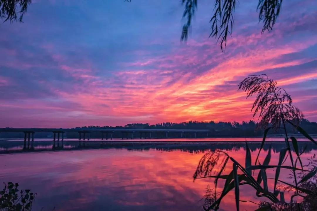 青州创建文明城市,潍坊创建东亚文化之都超然台