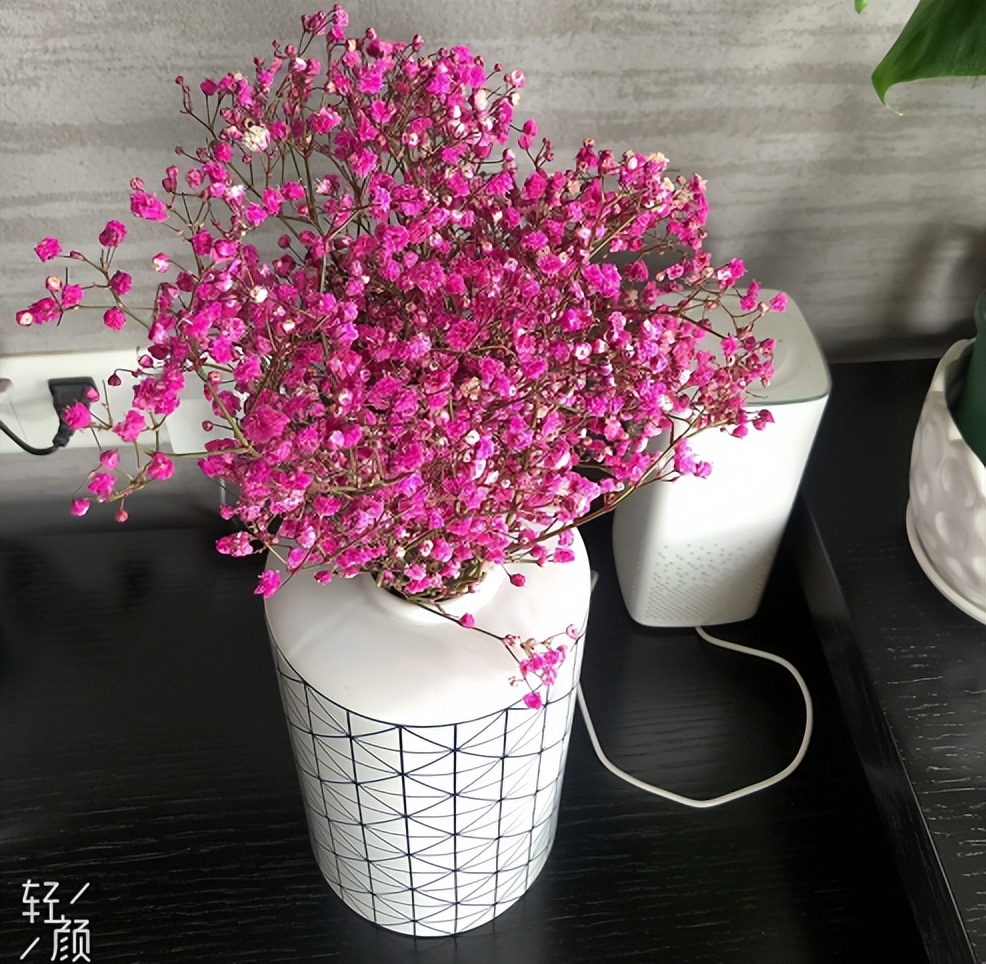 宁波北仑月入多少,北仑家庭开销