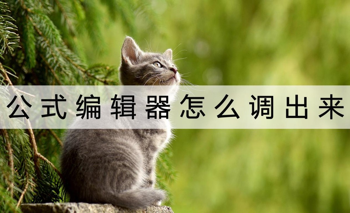 公式编辑器怎么打出点的坐标,公式编辑器里怎么输入分数