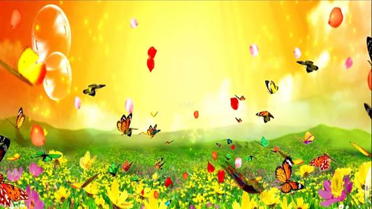 兴趣是最好的老师作文记叙文,兴趣是最好的老师高中作文800字