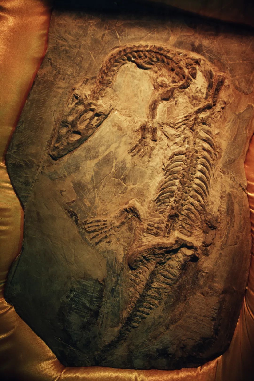 怎么才能看懂中国历史,如何详细的了解中国的历史