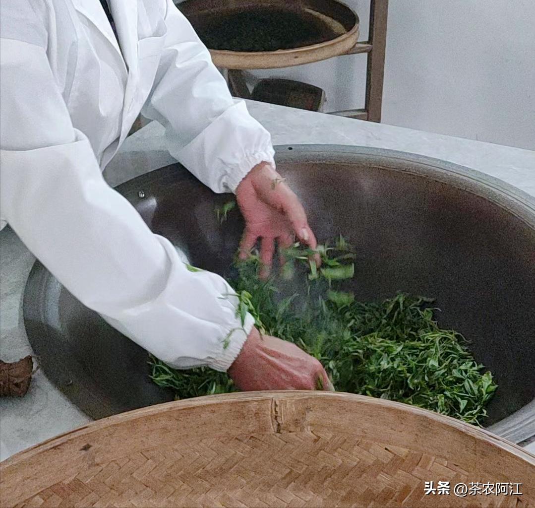 江西狗牯脑茶叶原产地是哪里,江西狗牯脑茶哪个地方正宗