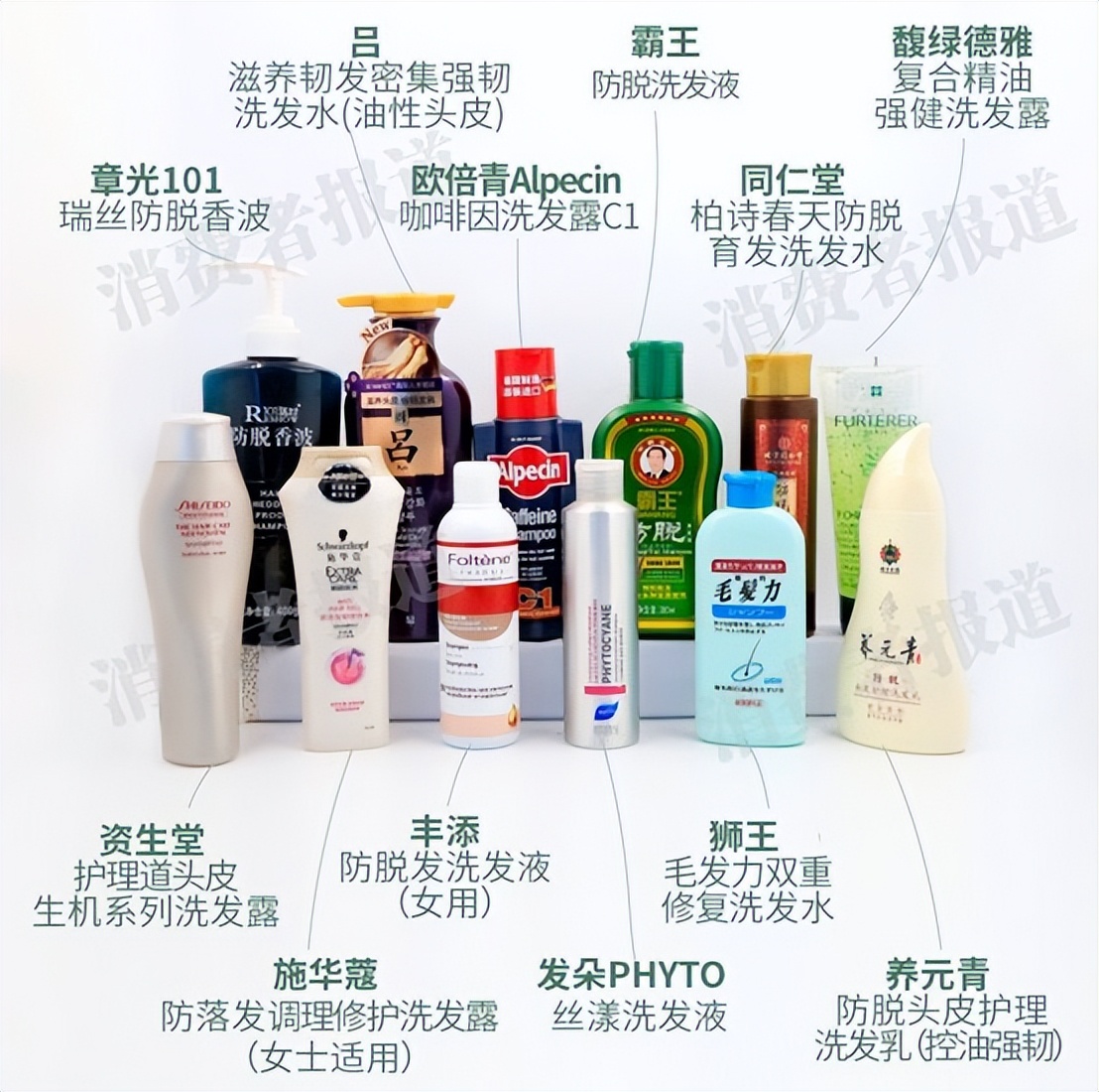 2023防脱育发洗发水大测评,2022洗发水排名防脱洗发水