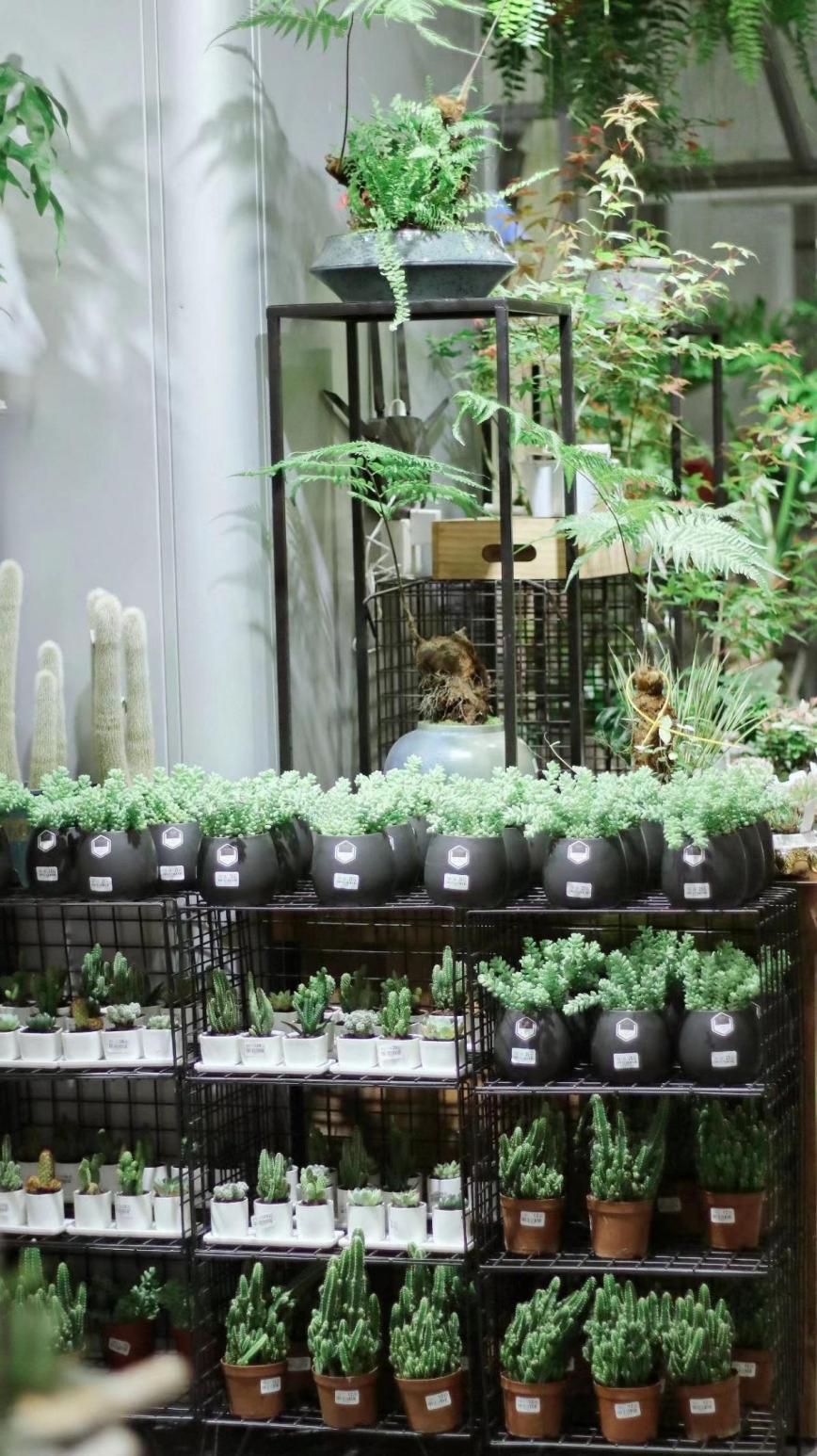 实体零售业“寒冬”过后，2023花园中心的新机会在哪里？