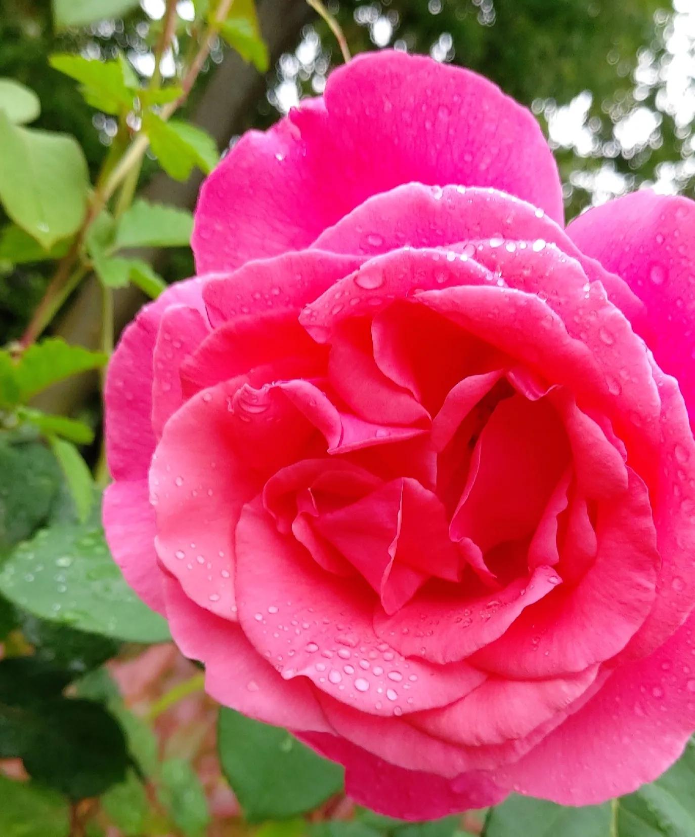 今天我们来说一下避孕这个事情