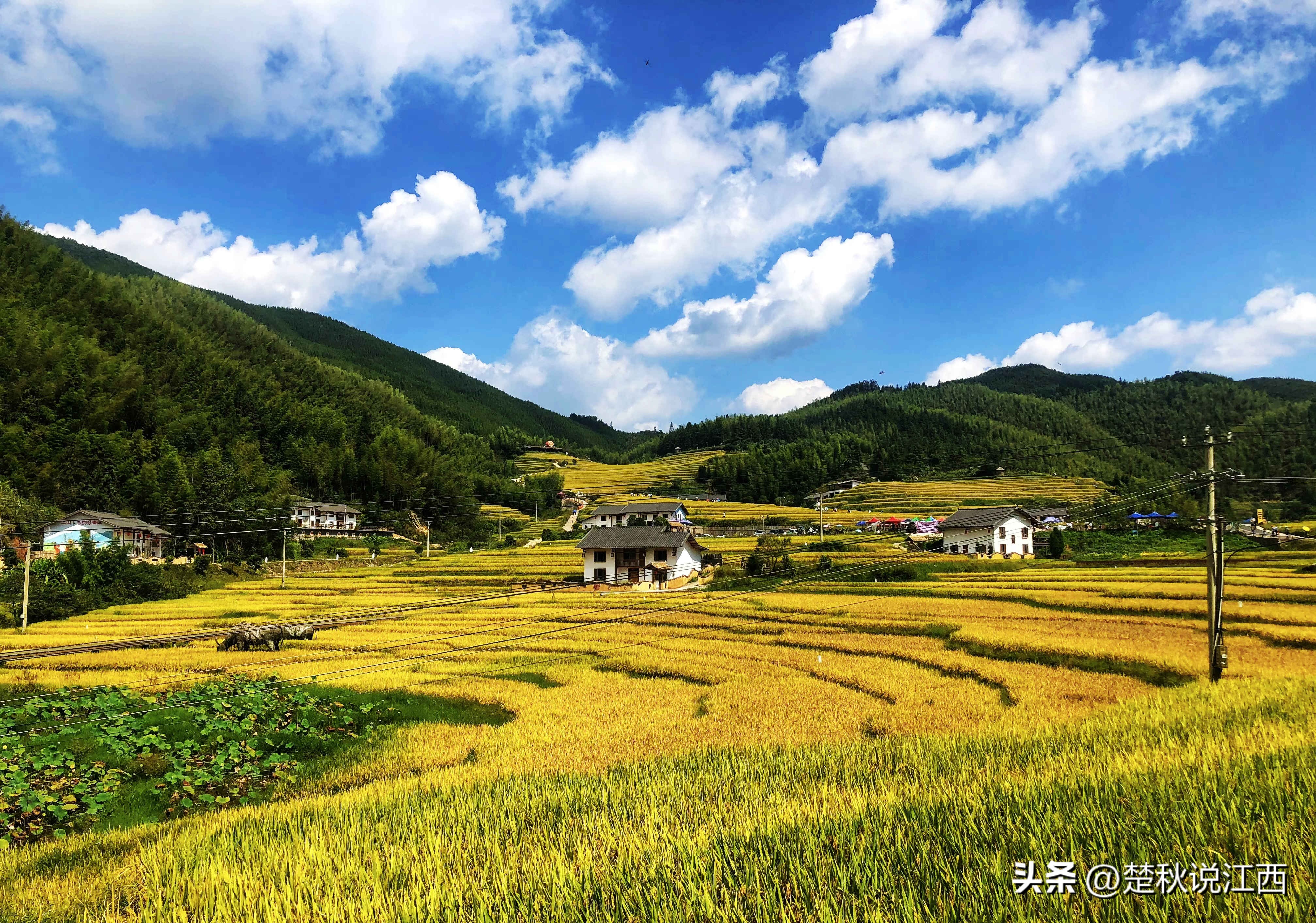 江西有哪些梯田风景区,江西梯田排名前十的梯田
