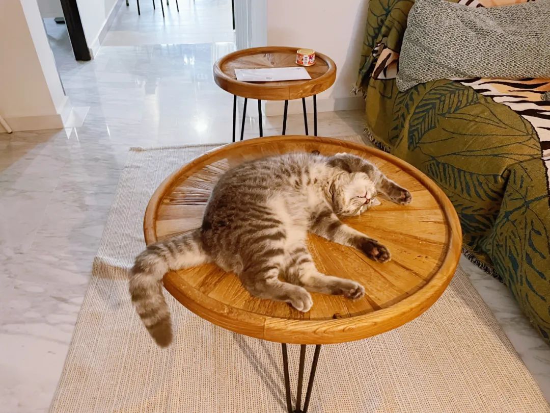 新加坡去哪买衣服鞋子,新加坡去哪买电脑配件