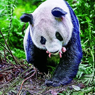 华中华北华南华东怎么区分,华中和华南对比