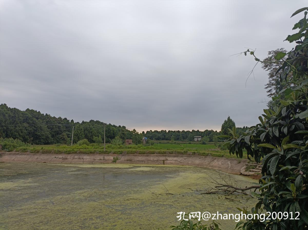 谈谈凶宅：在德，不仅是宅