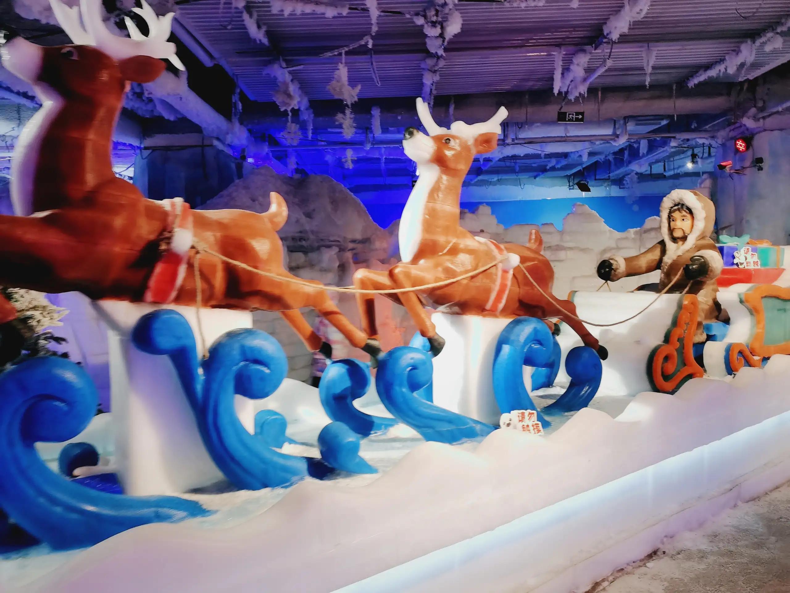 重庆乐和乐都野生动物园一日游,重庆野生动物园攻略一日游