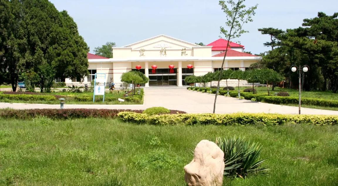 闄堟瘏鎺㈡湜閽卞妫數瑙嗗墽,闄堟瘏鍖楁埓娌崇湅鏈涙湵寰风數瑙嗗墽