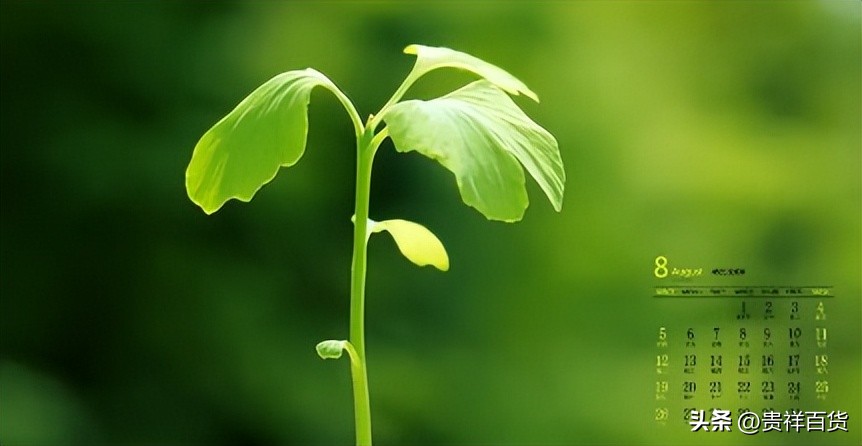 2023年3月份哪天是节假日,2023年4月有哪些法定节假日