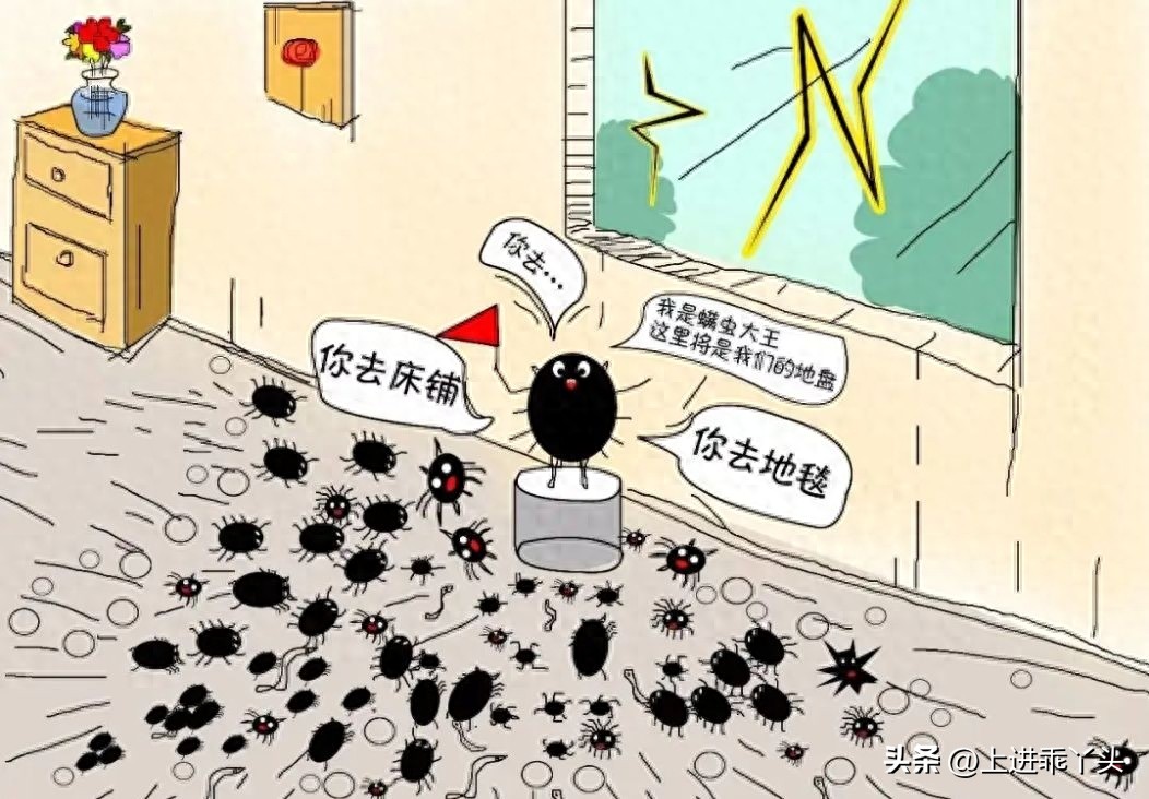 羽绒被长螨虫吗,羽绒被晾晒飞出的白色灰尘特别多