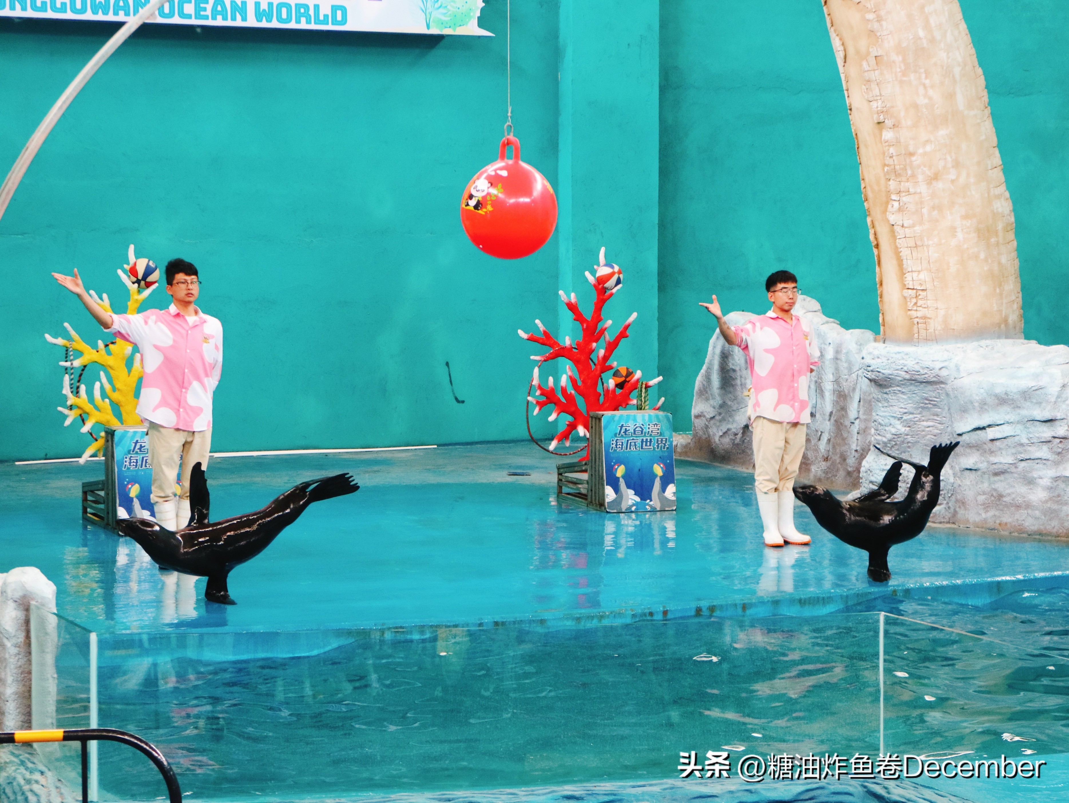 龙谷湾恐龙乐园扶绥攻略,扶绥龙谷湾恐龙公园游玩一天够吗