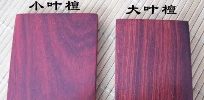 小叶紫檀小案上案,关于小叶紫檀的问答