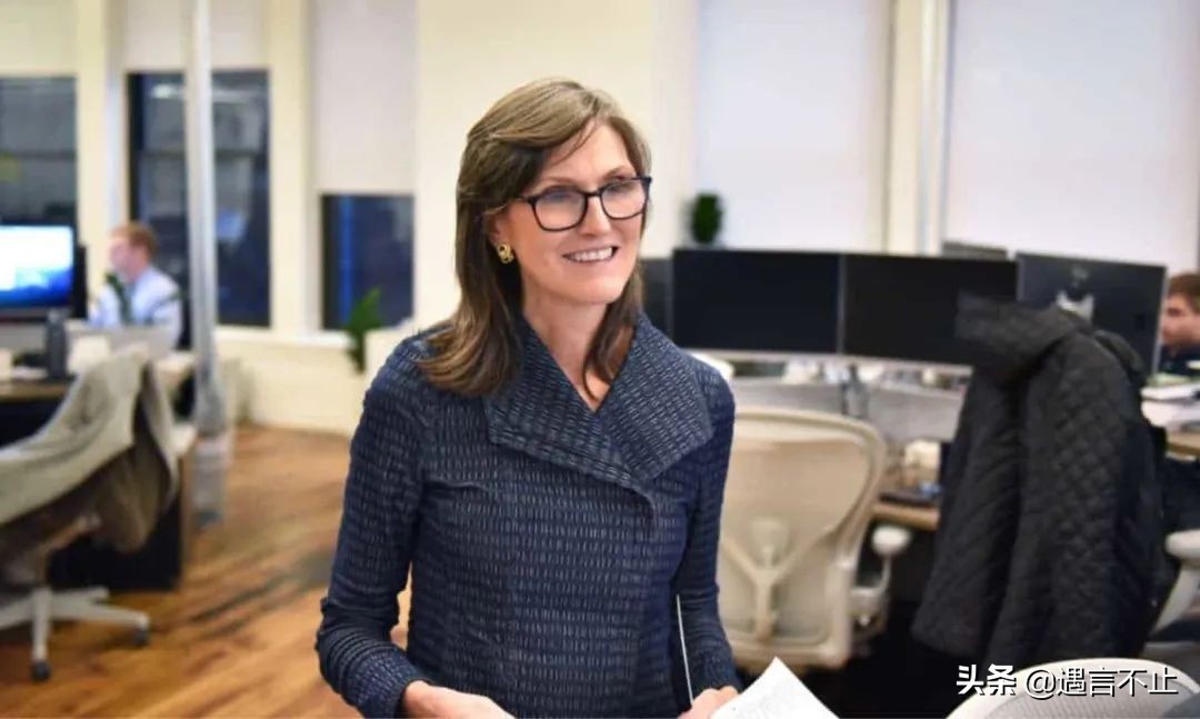 57岁封神，65岁翻车，女股神木头姐是被风吹上天的猪？