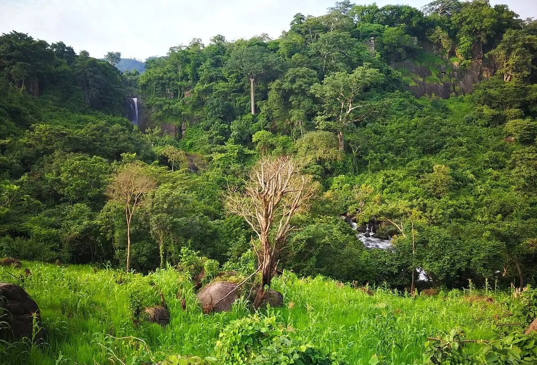 非洲的富塔贾隆高原，为什么会被称为“西非水塔”?