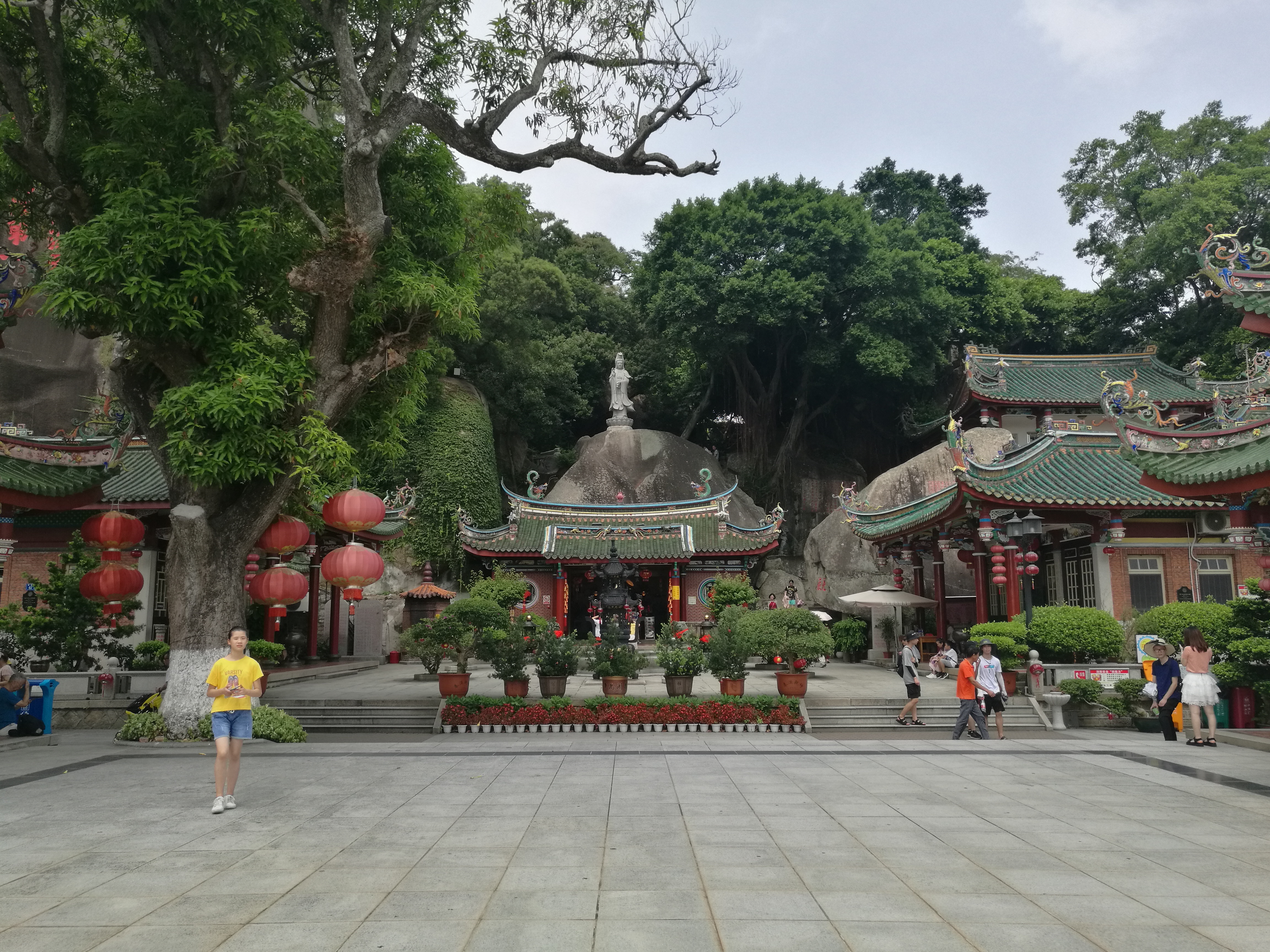 厦门一座来了就不想走的城市,去鼓浪屿不想逛太久