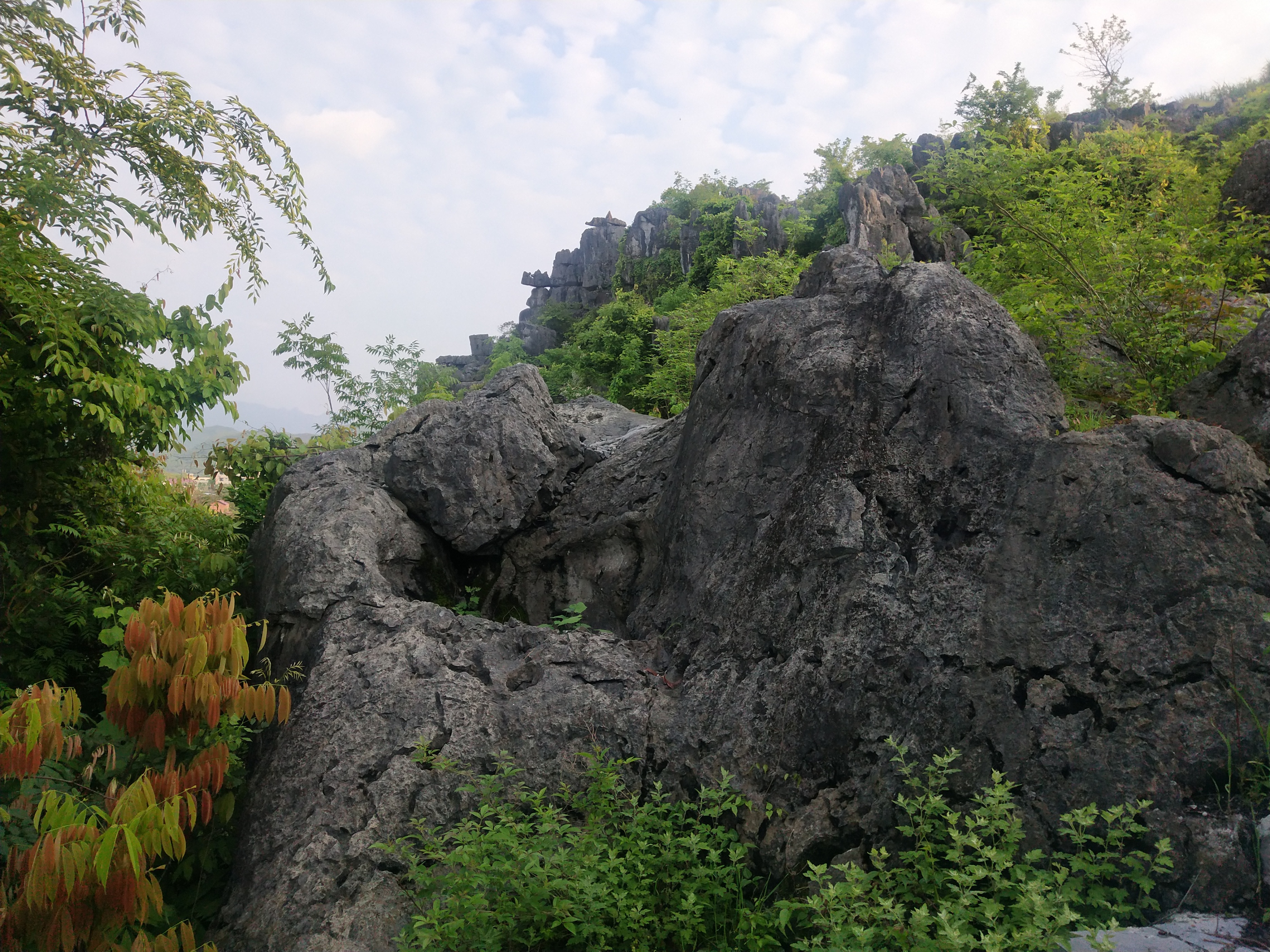 2020灌阳文市石林要门票吗,灌阳文市石林景区门票是多少