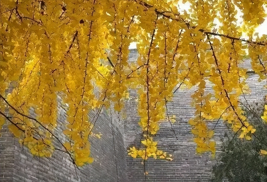 古今中外最著名的十首诗,古今最经典的十首诗