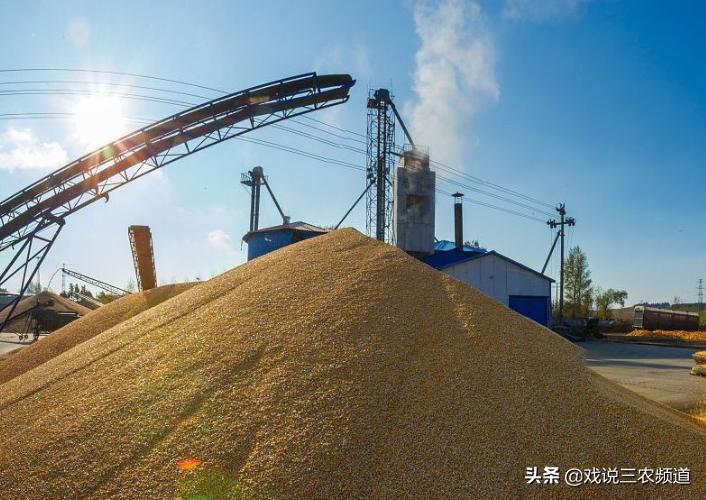 俄乌危机冲击全球粮价,俄乌冲突粮油会大幅上涨不