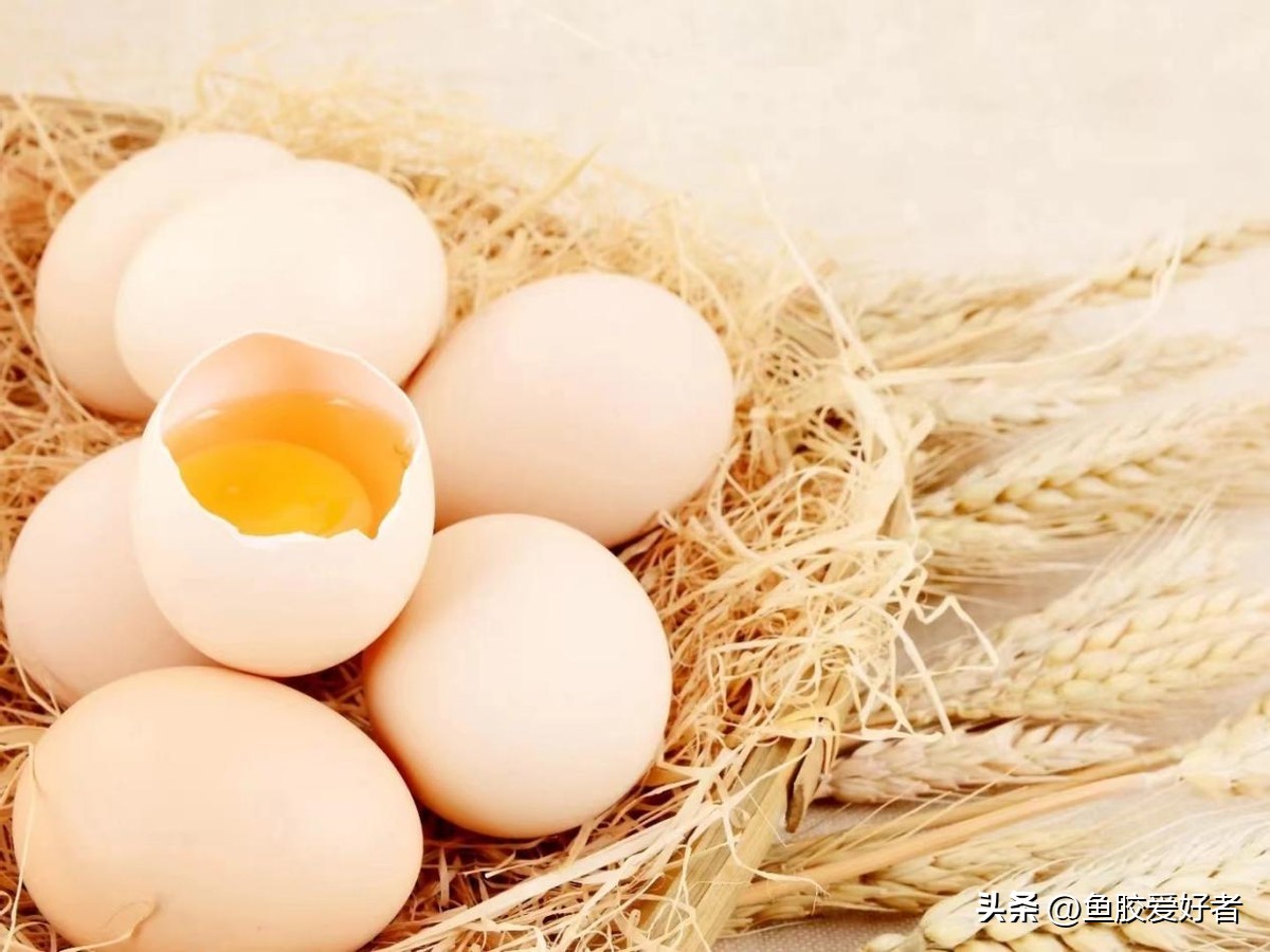 鱼胶是否智商税,鱼胶到底值不值得买