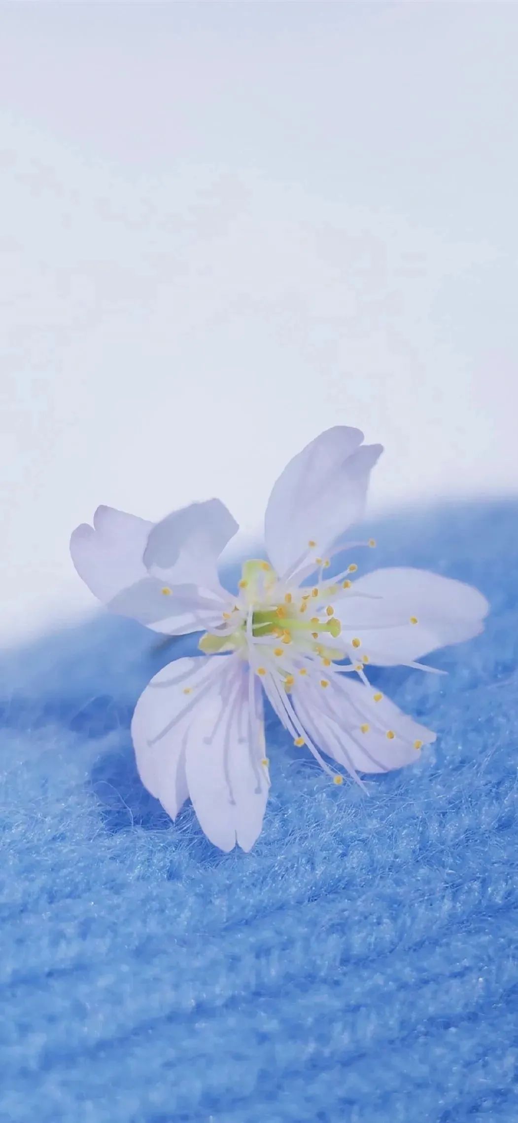 ins卡通风壁纸全屏超清,男壁纸ins高级质感全屏