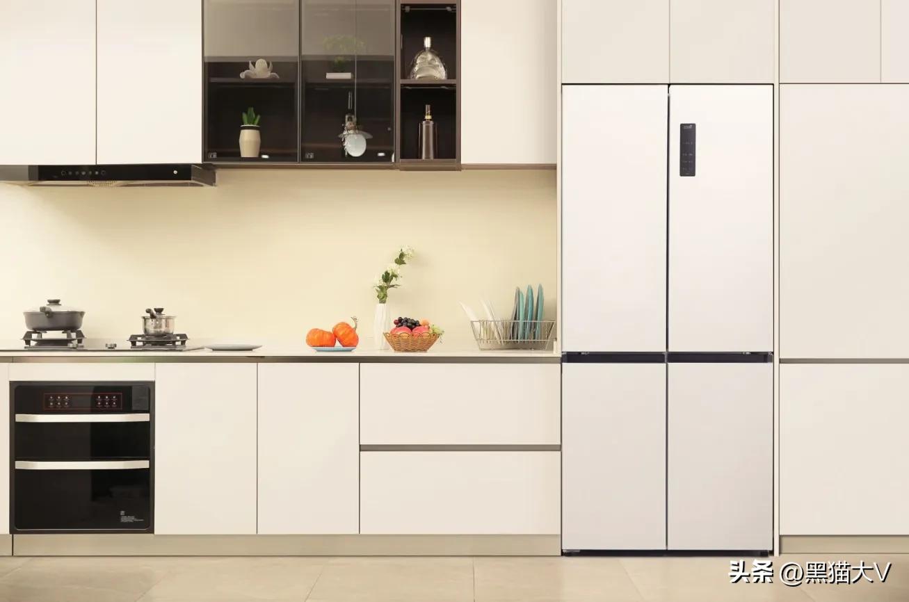 容声60cm超薄嵌入式冰箱,容声嵌入式冰箱型号推荐