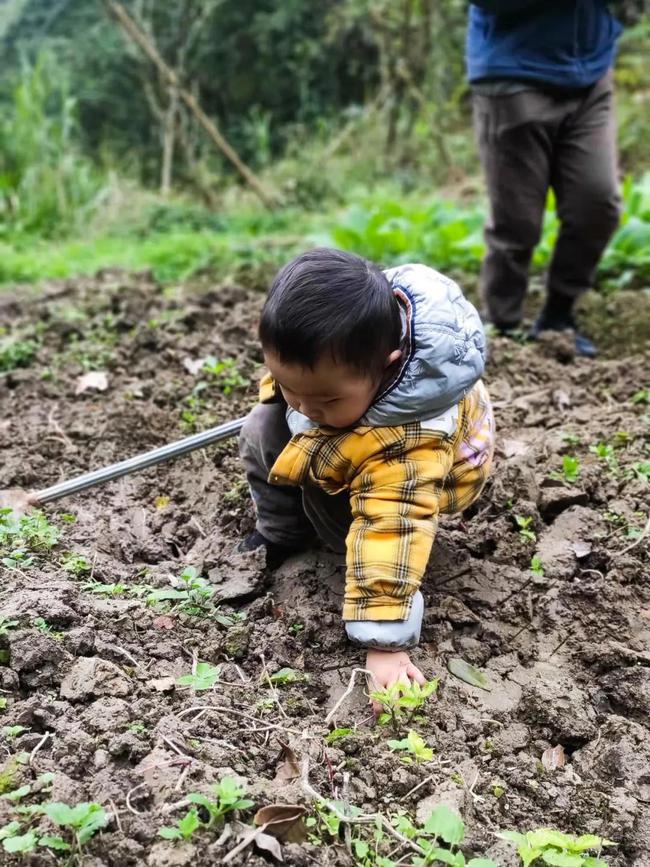 一种境界一种胸怀,独处的唯美境界
