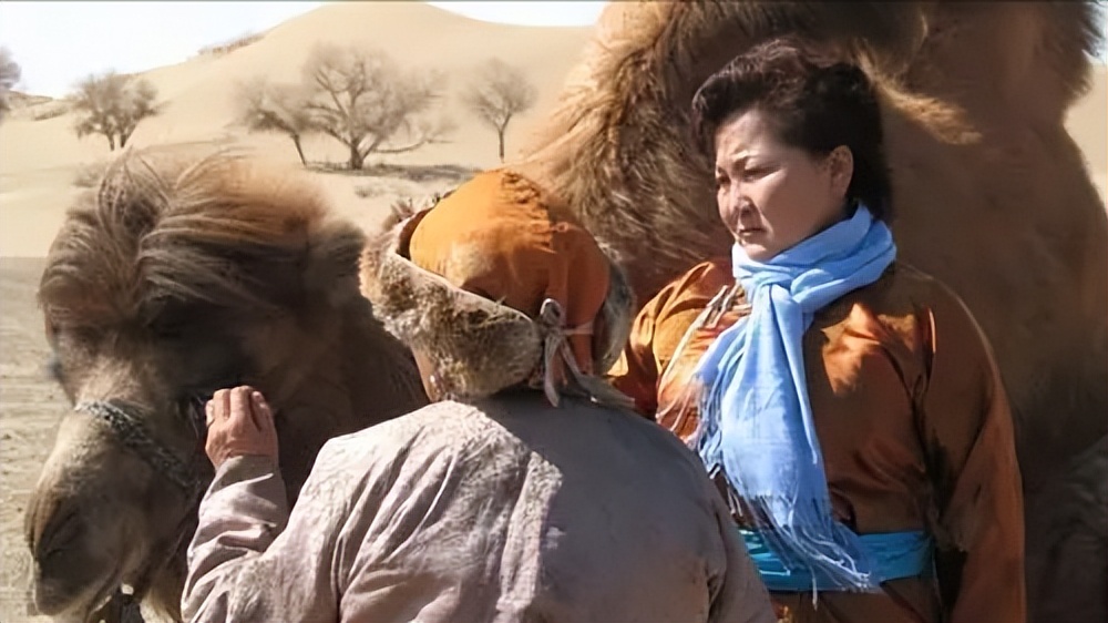 少数民族题材电影，以生态审美境界栖居大地，体会生命本真