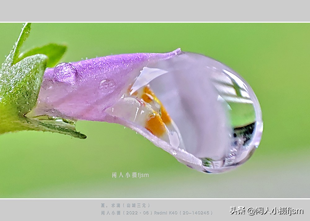 微距摄影就是近距离拍摄微小物体,微距摄影和近距离摄影有区别吗