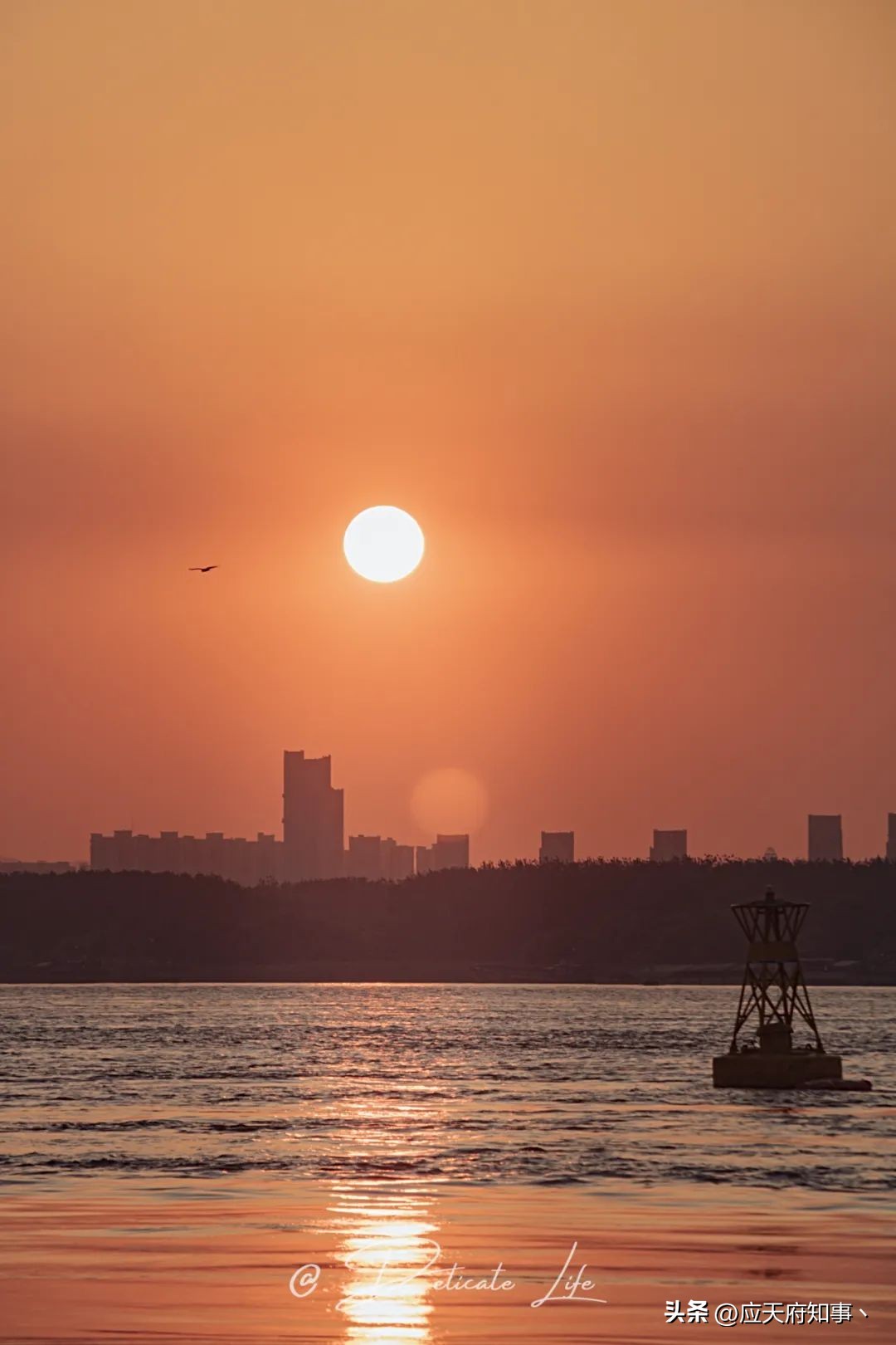 南京燕子矶滨江公园,南京燕子矶是哪个区