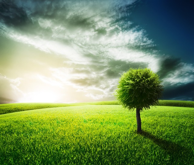 描写夏天的四个字的成语,形容夏天的成语100个