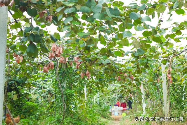 她做保姆这些年之豪门生活完整版,她做保姆这些年豪门生活之序