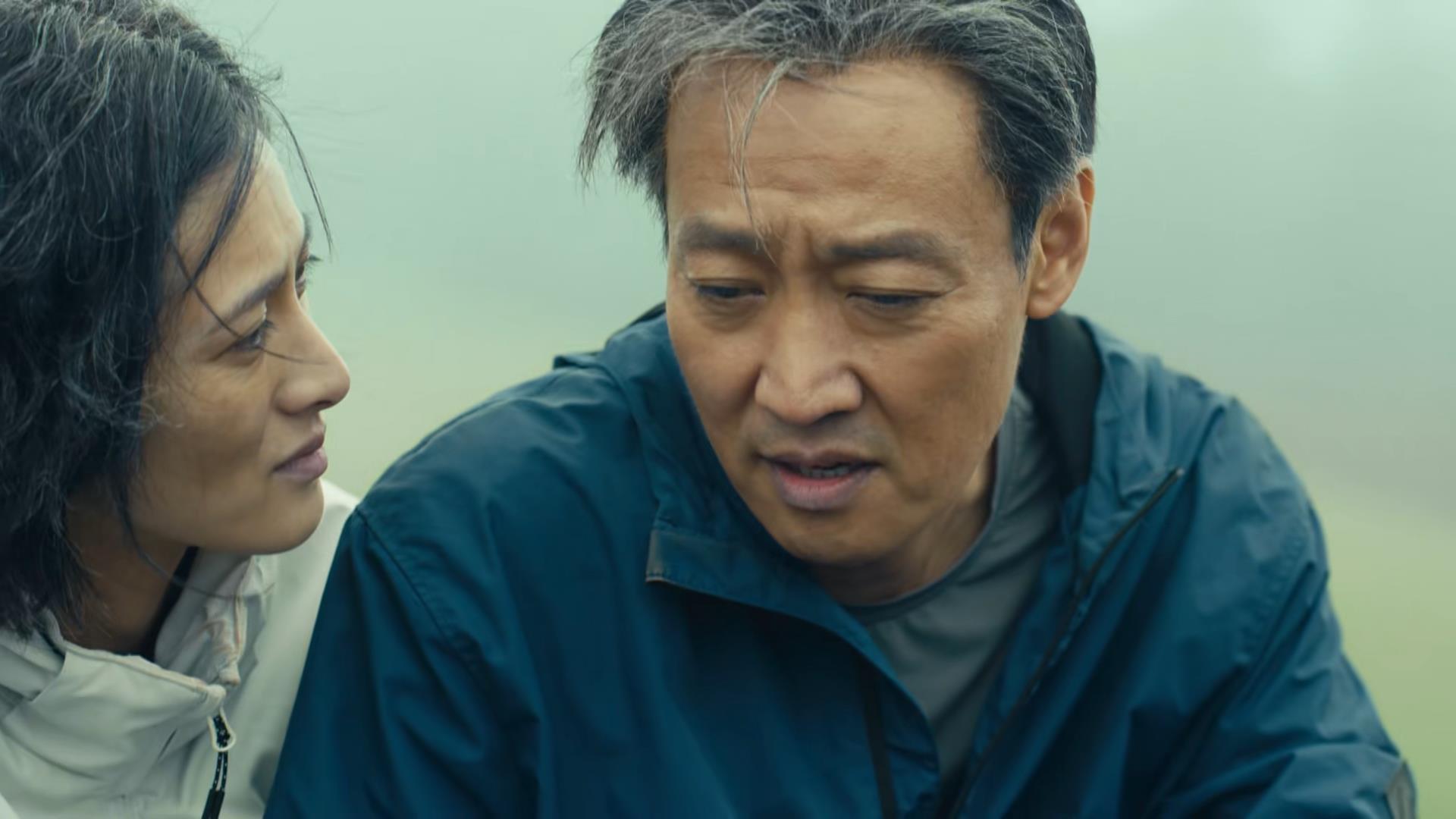 宁静谈编制,宁静直言自己有编制吗