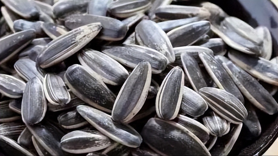 通过对向日葵中重金属含量的研究,进一步了解其种子发芽的特性