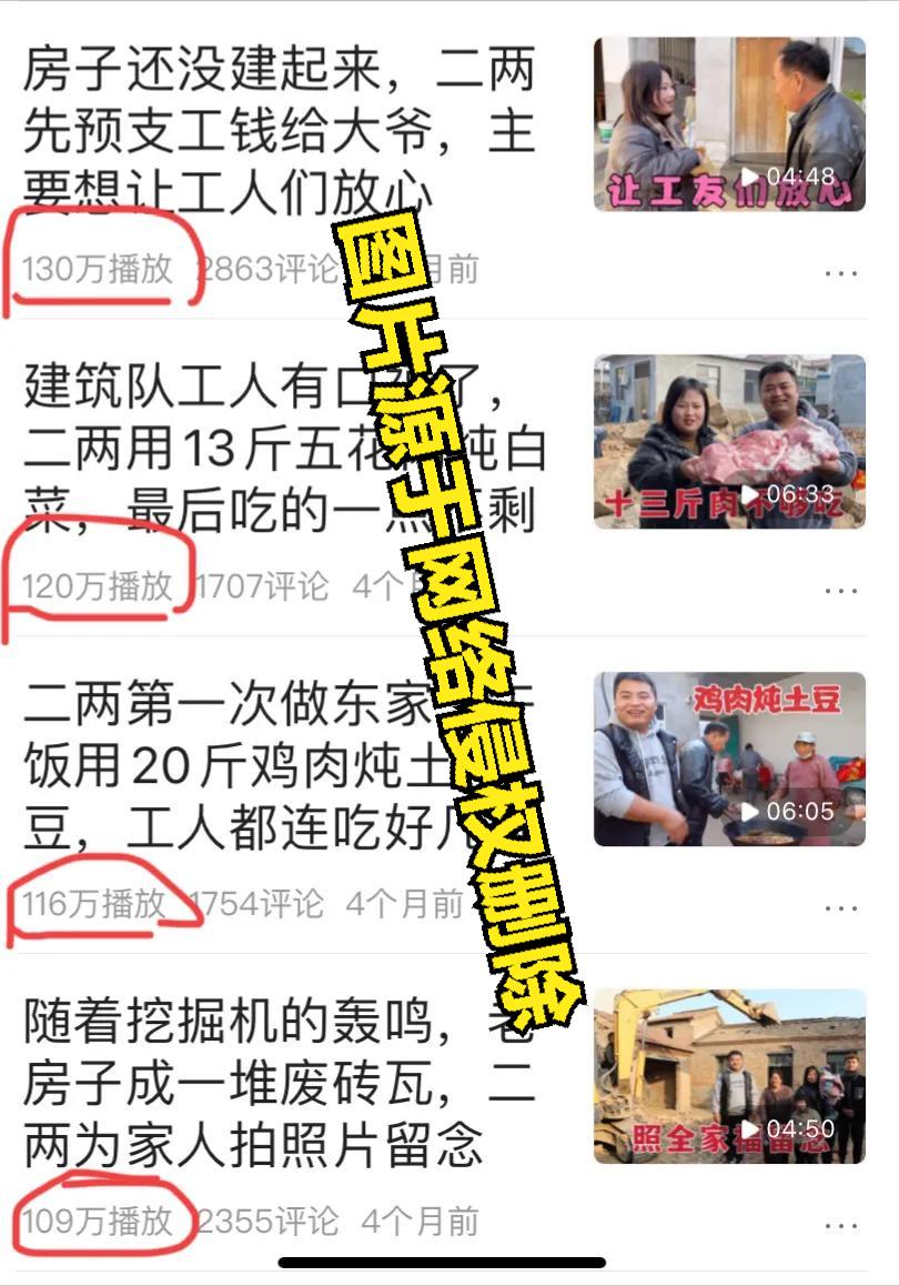 豆二两为啥又断更,豆二两为什么停更