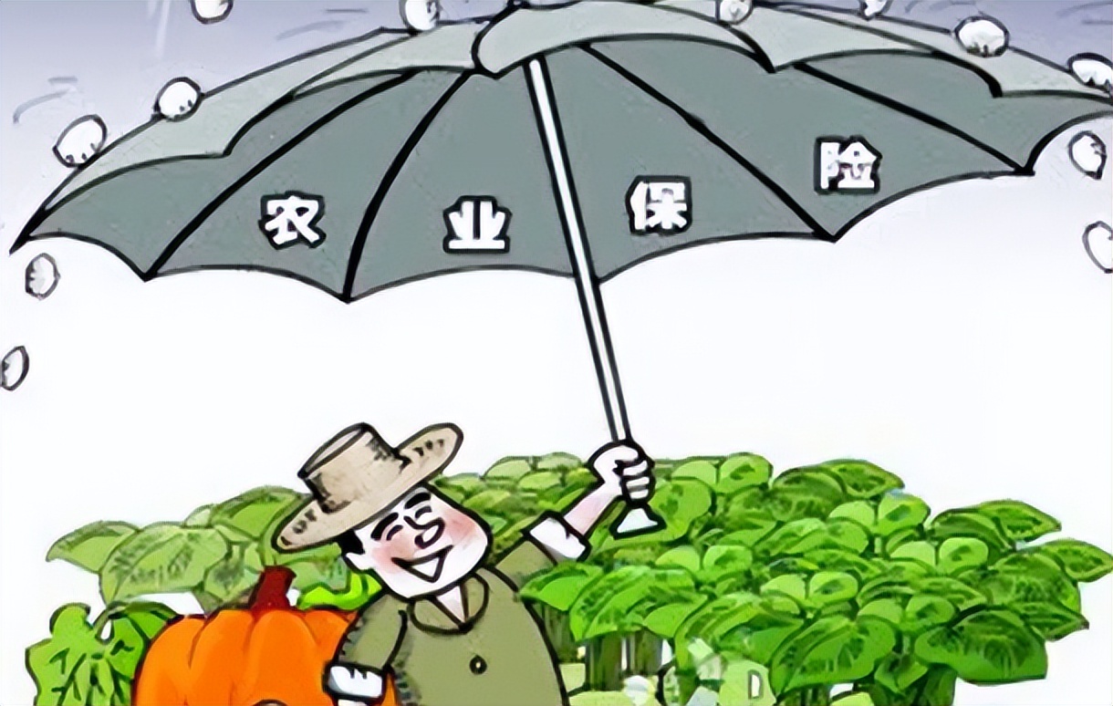 政策性农业保险怎么样,完善政策性农业保险机制