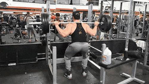 健身房常规器械名称及使用方法