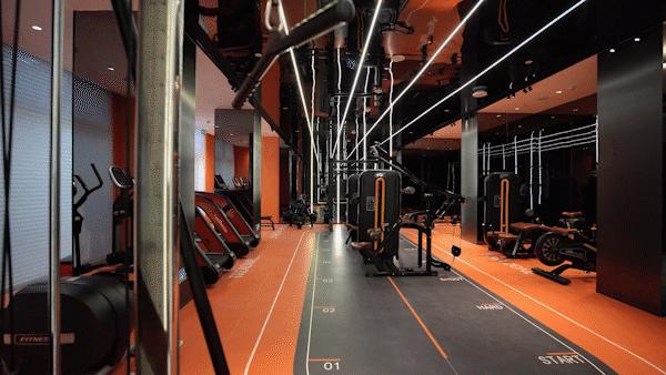 共生体嚎叫强不强,共生体发出的声音