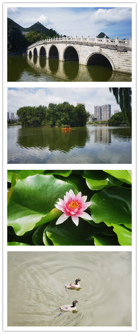 六盘水19度夏天,19度的夏天六盘水