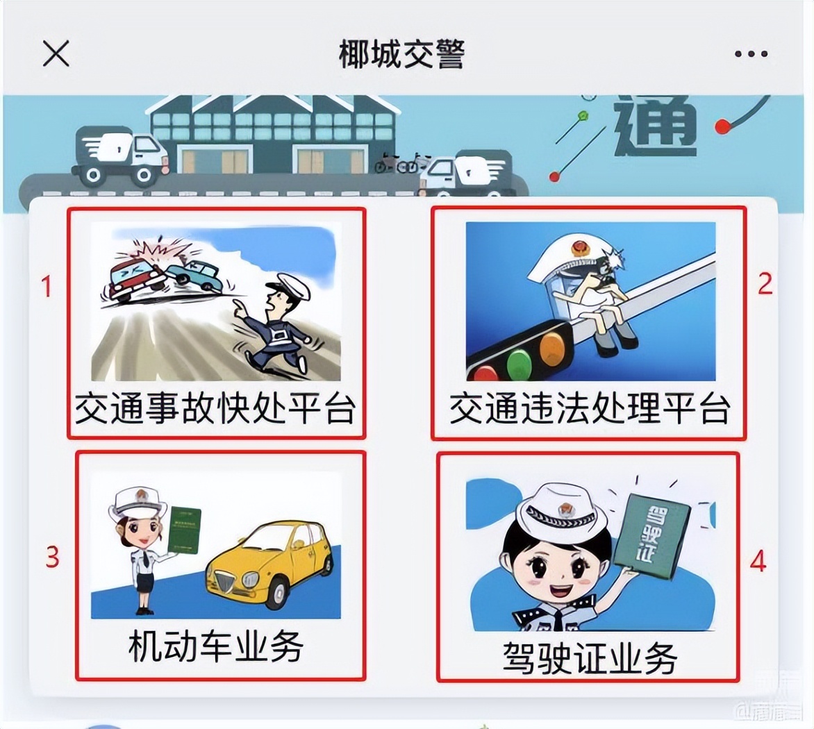 关注椰城交警微信号公众号,椰城交警公众号怎么交电动车罚款