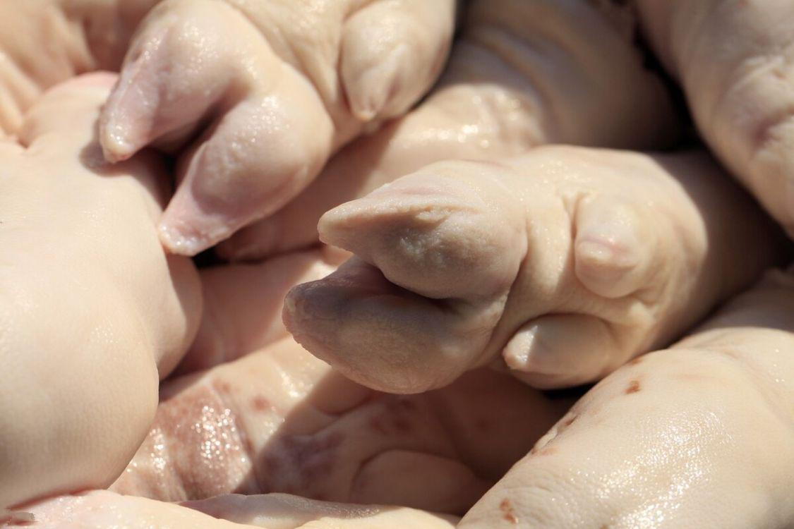 买猪蹄怎么分前蹄后蹄,买猪蹄时如何区分前蹄和后蹄